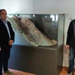Crece la riqueza paleontológica de la comarca del Jiloca gracias a las nuevas actuaciones en Bueña y Santa Cruz de Nogueras