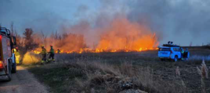 8 incendios provocados en la última semana en Caminreal