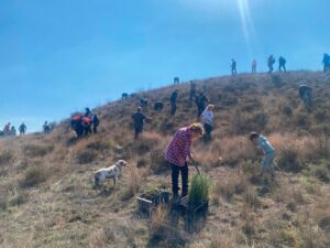 Cutanda replanta dos de sus entornos naturales y elige recreadores para la representación de la batalla de junio