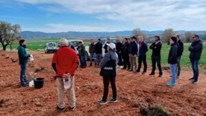 Báguena y San Martín del Río trabajan en una jornada sobre injertos en las viñas locales dentro del proyecto ACTIVITé